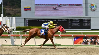 El hipismo capitalino se apuesta en MeridianoBet