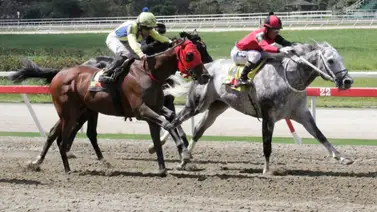 El 5y6 se presenta por tercera semana consecutiva con monto récord en La Rinconada El 5y6 se presenta por tercera semana consecutiva con monto récord en La Rinconada