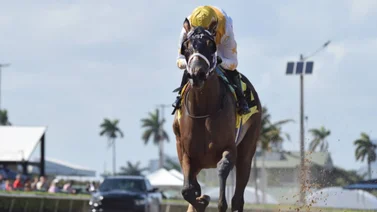 Francisco Arrieta logra su primera carrera en Gulfstream Park 