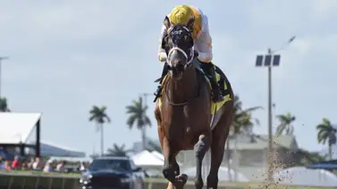Francisco Arrieta logra su primera carrera en Gulfstream Park Francisco Arrieta logra su primera carrera en Gulfstream Park