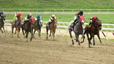 Actitud en carrera le cuesta suspensión a jinete aprendiz en La Rinconada Actitud en carrera le cuesta suspensión a jinete aprendiz en La Rinconada