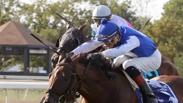 Mychel Sánchez vuelve a ser el primer venezolano en alcanzar esta cifra en un año calendario Mychel Sánchez vuelve a ser el primer venezolano en alcanzar esta cifra en un año calendario