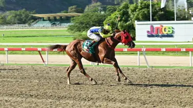 Yoelbis González: Un jinete con un futuro prometedor en La Rinconada Yoelbis González: Un jinete con un futuro prometedor en La Rinconada