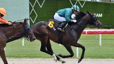 Emisael Jaramillo a la caza del meeting en Gulfstream Park y las 1800 victorias