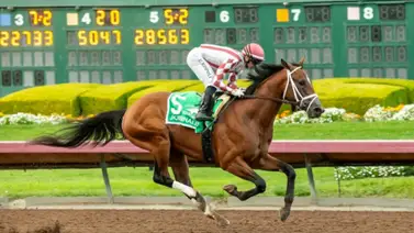 Escolta de Sovereignty en el Kentucky Derby si correrá el Preakness Stakes G1 Escolta de Sovereignty en el Kentucky Derby si correrá el Preakness Stakes G1