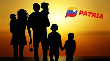 Bono Hogares de la Patria: Monto según la cantidad de integrantes 