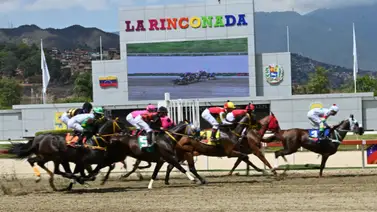 Esta es la nómina del XXII Clásico “Gustavo Ávila” (GI) en recorrido de 1.600 metros Esta es la nómina del XXII Clásico “Gustavo Ávila” (GI) en recorrido de 1.600 metros