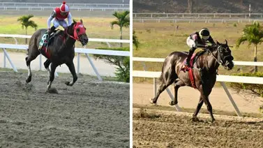 Duelo de importados: Tuco Salamanca Vs Juan Valdez en el V “Clásico Juan Arias” (GI) en 1.600 metros Duelo de importados: Tuco Salamanca Vs Juan Valdez en el V “Clásico Juan Arias” (GI) en 1.600 metros