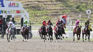 Importados con hándicap fresco y jinetes definidos para la reunión 18 en La Rinconada Importados con hándicap fresco y jinetes definidos para la reunión 18 en La Rinconada