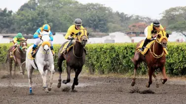 Yoqueta aprendiz consigue su primera victoria en apenas su 12 monta Yoqueta aprendiz consigue su primera victoria en apenas su 12 monta