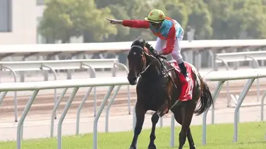 Hay cambios en el ranking mundial equino con un nuevo líder Hay cambios en el ranking mundial equino con un nuevo líder