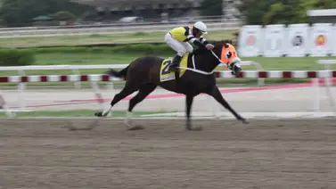 Debuta hija de ganador del Clásico Republica Bolivariana de Venezuela este domingo en La Rinconada Debuta hija de ganador del Clásico Republica Bolivariana de Venezuela este domingo en La Rinconada