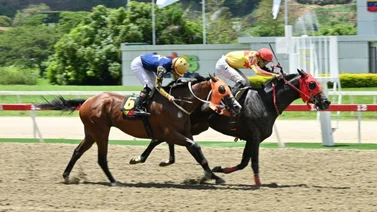 Debut estelar en la R18: Hermano completo del ganador Deep Attack a la cancha