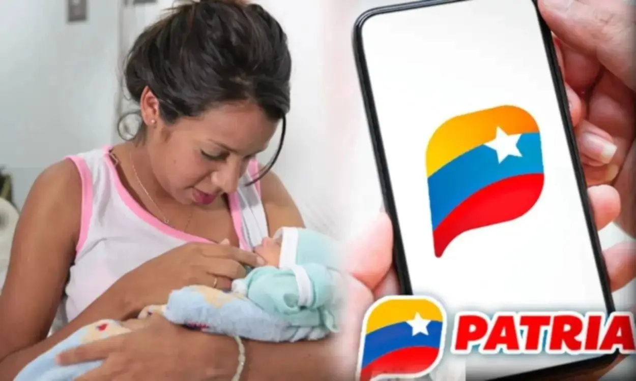 Sistema Patria Parto Humanizado y Lactancia Materna