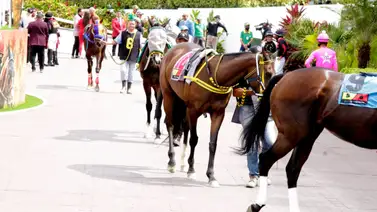 La Rinconada recibe a un heredero: Nieto de 'Águila Negra' debuta este domingo La Rinconada recibe a un heredero: Nieto de 'Águila Negra' debuta este domingo