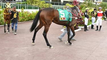 Hijo de Roger Rocket que fue muy jugado en su debut regresa a la pista luego de 105 días sin correr 