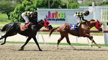 Ejemplar ganador de cuatro y figurador selectivo regresa a la pista luego de 182 días sin correr