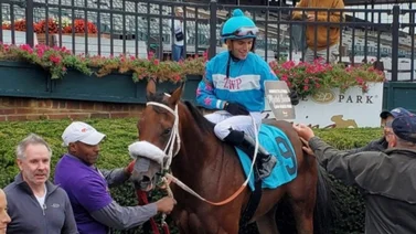 Mychel Sánchez presente el sábado del Preakness con cuatro Stakes 