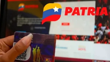 Sistema Patria bono 