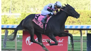 El jockey dominicano apodado como el “dandy” consiguió tres victorias selectivas en la semana El jockey dominicano apodado como el “dandy” consiguió tres victorias selectivas en la semana