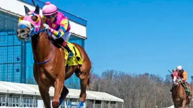 Mychel Sánchez metió tres triunfos esta tarde con batacazo de $21 por ganador Mychel Sánchez metió tres triunfos esta tarde con batacazo de $21 por ganador