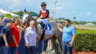 El hipismo nacional está de luto con la sensible perdida del entrenador venezolano Juan Carlos Pérez Abarrio El hipismo nacional está de luto con la sensible perdida del entrenador venezolano Juan Carlos Pérez Abarrio