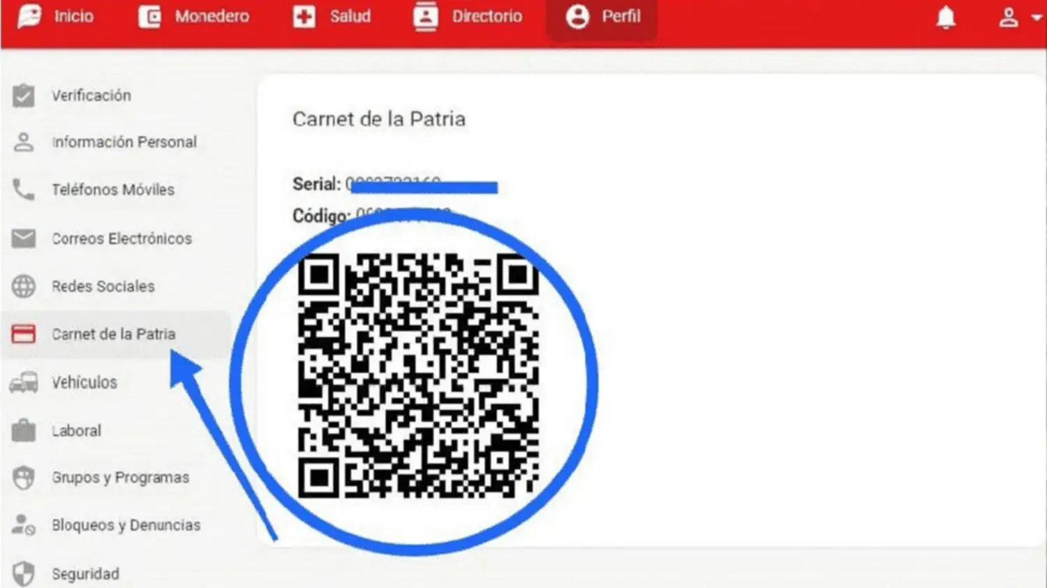 código QR en el Sistema Patria