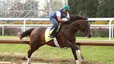 Hermana completa de la mamá del Derby Winner Sovereignty fue la más vendida en las subastas digitales Hermana completa de la mamá del Derby Winner Sovereignty fue la más vendida en las subastas digitales