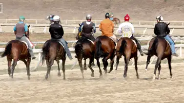 Un ejemplar del actual líder de la estadística de entrenadores del segundo meeting queda retirado del 5y6 de La Rinconada Un ejemplar del actual líder de la estadística de entrenadores del segundo meeting queda retirado del 5y6 de La Rinconada