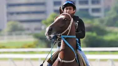 Hemirxon Medina confía en el potencial de sus dos cartas para la reunión 18 en La Rinconada (+Video) Hemirxon Medina confía en el potencial de sus dos cartas para la reunión 18 en La Rinconada (+Video)