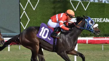 Emisael Jaramillo buscará asumir el liderato en el meeting del Royal Palm Meet (+ Montas importantes) Emisael Jaramillo buscará asumir el liderato en el meeting del Royal Palm Meet (+ Montas importantes)