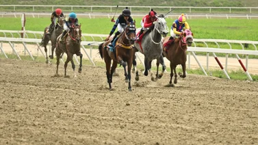 Entrenador debutante indica que con un poquito de suerte su yegua puede ganar esta carrera del 5y6 (+Video) 