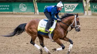 Entérate cuáles son los mejores padres más influyentes para este Preakness Stakes Entérate cuáles son los mejores padres más influyentes para este Preakness Stakes