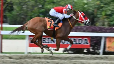 Prepárate para sellar porque así quedó el ajuste de la Línea de Gaceta Hípica para el 5y6 de la reunión 18 Prepárate para sellar porque así quedó el ajuste de la Línea de Gaceta Hípica para el 5y6 de la reunión 18