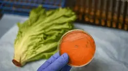 Brote de listeria en EEUU: Retiran estos alimentos tras varios casos 