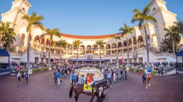 Datos de última hora que incluye el Best Best y los Picks para la jornada en Gulfstream y Belmont Big A para este jueves 15-5-2025 Datos de última hora que incluye el Best Best y los Picks para la jornada en Gulfstream y Belmont Big A para este jueves 15-5-2025