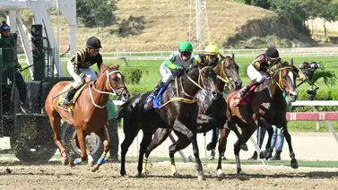 Jinete profesional reaparece el domingo a La Rinconada para la carrera de los acumulados del 5y6 (+Entrevista) Jinete profesional reaparece el domingo a La Rinconada para la carrera de los acumulados del 5y6 (+Entrevista)