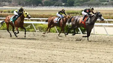 Si deseas saber cuál es el dato más corrido a esta hora aquí te lo revelamos para el Clásico Gustavo Ávila (G1) Si deseas saber cuál es el dato más corrido a esta hora aquí te lo revelamos para el Clásico Gustavo Ávila (G1)