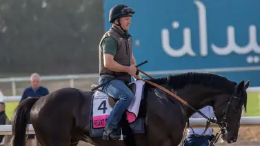 Este es el batacazo que te da Gaceta Hípica para el Preakness Stakes 150 Este es el batacazo que te da Gaceta Hípica para el Preakness Stakes 150