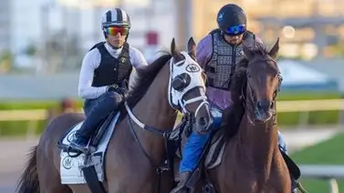 Pedazo de batacazo metió jinete venezolano esta tarde 99 a 1 a ganador en Gulfstream Park Pedazo de batacazo metió jinete venezolano esta tarde 99 a 1 a ganador en Gulfstream Park