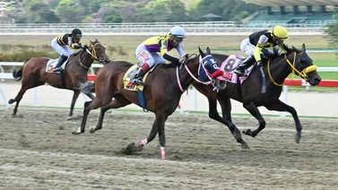 En el Clásico Juan Arias (G1) hay un ejemplar que se destacó con el mejor ajuste de La Rinconada