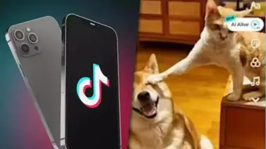 Tiktok AI Alive Tiktok AI Alive