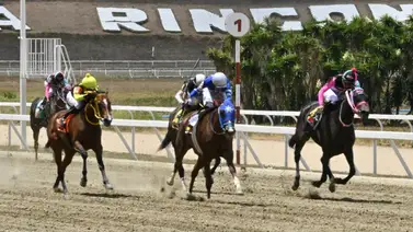Aumenta tus posibilidades de ganar porque estos son los ejemplares con mucha fortaleza para la reunión 18 Aumenta tus posibilidades de ganar porque estos son los ejemplares con mucha fortaleza para la reunión 18