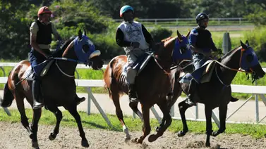 La clave del éxito: Así como este ejemplar logró uno de los mejores ajustes puede ser el potencial para ganar el 5y6 La clave del éxito: Así como este ejemplar logró uno de los mejores ajustes puede ser el potencial para ganar el 5y6
