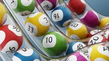 Lotería: Panchita te deja estos animalitos para los sorteos de este viernes 16 de mayo