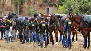 El 5y6 nacional de la reunión 18 lleva tres ejemplares retirados del domingo El 5y6 nacional de la reunión 18 lleva tres ejemplares retirados del domingo