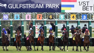 Datos de última hora para el Picks 5 costa a costa entre Gulfstream Park y Santa Anita Park 16-5-2025
