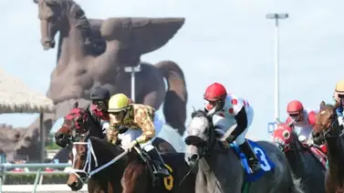 Datos de última hora para el Picks 5 costa a costa entre Gulfstream Park y Santa Anita Park 17-5-2025 Datos de última hora para el Picks 5 costa a costa entre Gulfstream Park y Santa Anita Park 17-5-2025