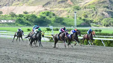 Acusación formal: Propietario lleva a jinete profesional a la Junta de Comisarios del INH Acusación formal: Propietario lleva a jinete profesional a la Junta de Comisarios del INH