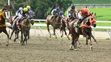 Mira lo que le ocurrió a uno de los datos más corridos en la carrera de los acumulados Mira lo que le ocurrió a uno de los datos más corridos en la carrera de los acumulados